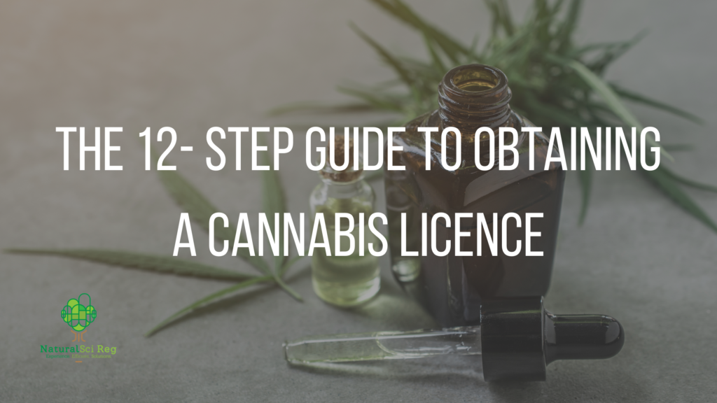 cannabis license